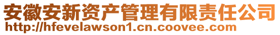 安徽安新資產管理有限責任公司