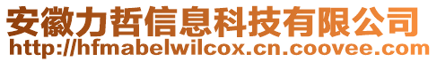 安徽力哲信息科技有限公司