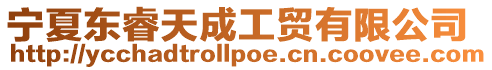 寧夏東睿天成工貿有限公司