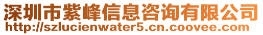 深圳市紫峰信息咨詢有限公司