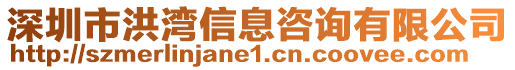 深圳市洪灣信息咨詢有限公司