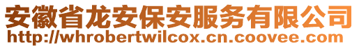 安徽省龍安保安服務(wù)有限公司