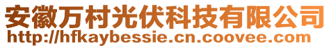 安徽萬村光伏科技有限公司