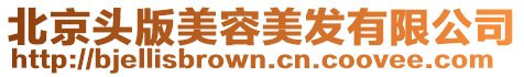 北京頭版美容美發有限公司