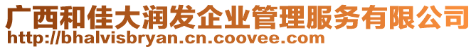 廣西和佳大潤發企業管理服務有限公司