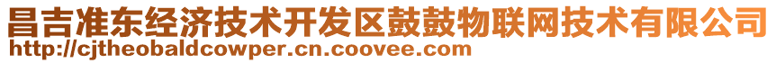 昌吉準東經濟技術開發區鼓鼓物聯網技術有限公司