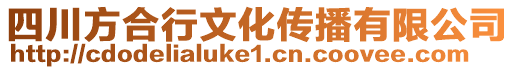 四川方合行文化傳播有限公司