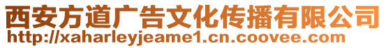 西安方道廣告文化傳播有限公司