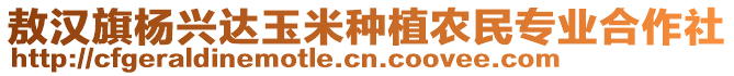 敖漢旗楊興達玉米種植農(nóng)民專業(yè)合作社