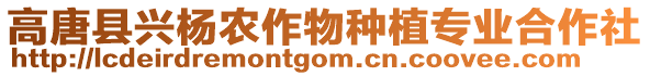 高唐县兴杨农作物种植专业合作社