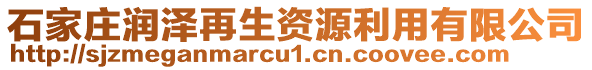 石家莊潤澤再生資源利用有限公司