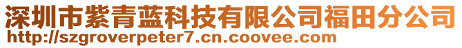 深圳市紫青藍(lán)科技有限公司福田分公司