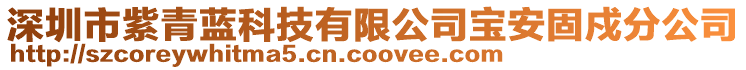 深圳市紫青藍(lán)科技有限公司寶安固戍分公司