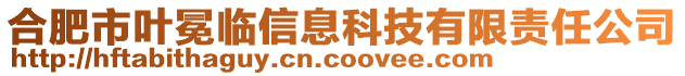 合肥市葉冕臨信息科技有限責(zé)任公司