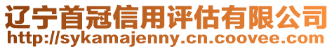 遼寧首冠信用評估有限公司
