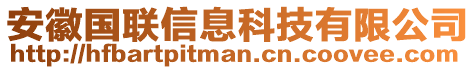 安徽國聯信息科技有限公司