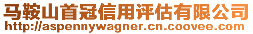 馬鞍山首冠信用評估有限公司