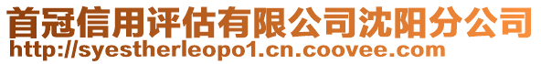 首冠信用評(píng)估有限公司沈陽(yáng)分公司