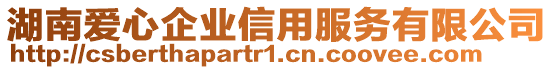 湖南愛心企業(yè)信用服務(wù)有限公司