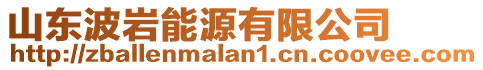 山東波巖能源有限公司