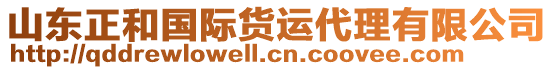 山東正和國際貨運代理有限公司