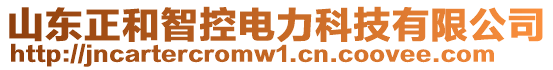 山東正和智控電力科技有限公司