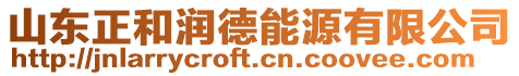 山東正和潤德能源有限公司