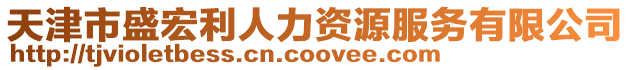 天津市盛宏利人力資源服務(wù)有限公司