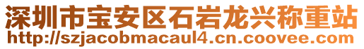 深圳市寶安區(qū)石巖龍興稱重站