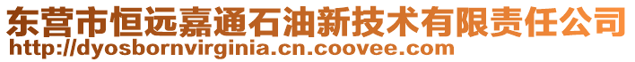 東營(yíng)市恒遠(yuǎn)嘉通石油新技術(shù)有限責(zé)任公司