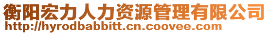 衡陽宏力人力資源管理有限公司