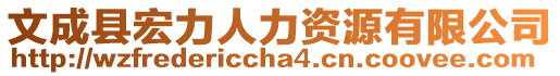 文成縣宏力人力資源有限公司