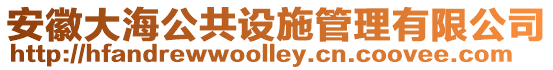 安徽大海公共設施管理有限公司