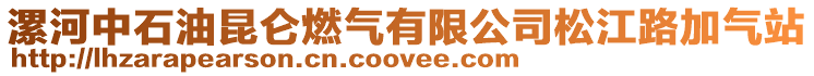 漯河中石油昆侖燃氣有限公司松江路加氣站