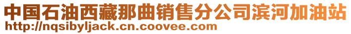 中國(guó)石油西藏那曲銷(xiāo)售分公司濱河加油站