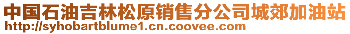 中國(guó)石油吉林松原銷售分公司城郊加油站