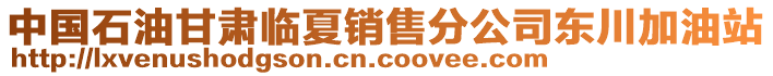 中國(guó)石油甘肅臨夏銷售分公司東川加油站