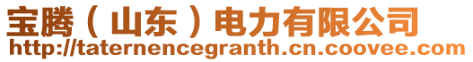 寶騰(山東)電力有限公司