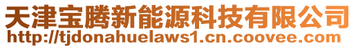 天津?qū)汄v新能源科技有限公司