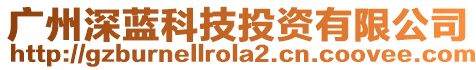 廣州深藍(lán)科技投資有限公司