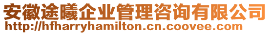 安徽途曦企業(yè)管理咨詢有限公司