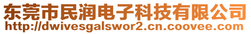 東莞市民潤電子科技有限公司