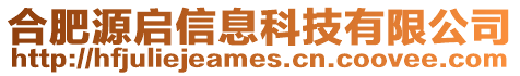 合肥源啟信息科技有限公司