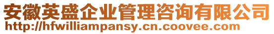 安徽英盛企業(yè)管理咨詢有限公司