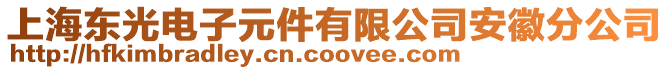 上海東光電子元件有限公司安徽分公司