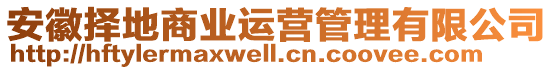 安徽擇地商業(yè)運(yùn)營管理有限公司