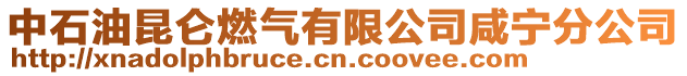 中石油昆侖燃氣有限公司咸寧分公司
