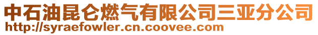 中石油昆侖燃氣有限公司三亞分公司