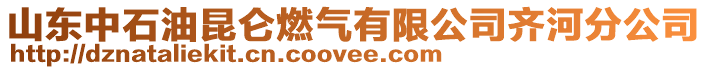 山東中石油昆侖燃?xì)庥邢薰君R河分公司