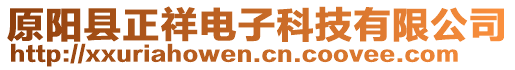 原陽縣正祥電子科技有限公司